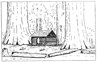 Galen Clark’s first cabin--Mariposa Grove. Replaced in 1885-86; second cabin rebuilt in 1930