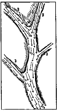 [Fig. 2.—Kings River Yosemite]