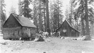 Curtin’s “Cow Camp” at Gin Flat on the Big Oak Flat Road, 1901.