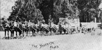 “The Yosemite Flyer,” Jerome Martin, driver.