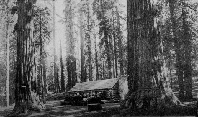 Guardian's Cabin, Mariposa Grove