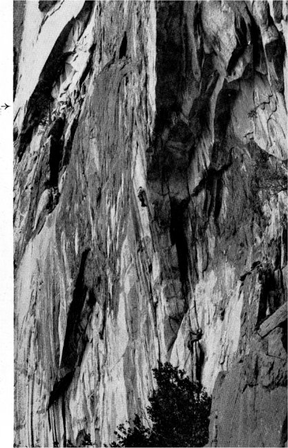 Route to El Capitan Tree (arrow) (Robert L. Swift)
