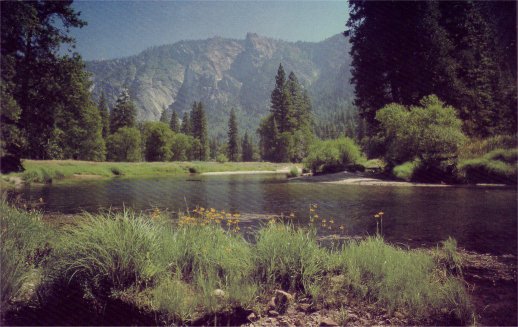 Merced River in summer
