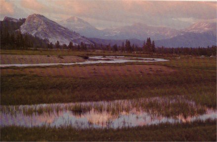Tuolumne meadows River