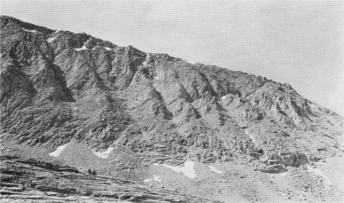 Typical snow chutes on the north face of Mount Hitchcock. The snow chutes are carved to depths of 50 to 100 feet in disregard of the joint structure of the granite. All terminate at the upper limit of glaciation which is clearly marked. Below is the glaciated floor of Whitney Canyon. By Franois Matthes