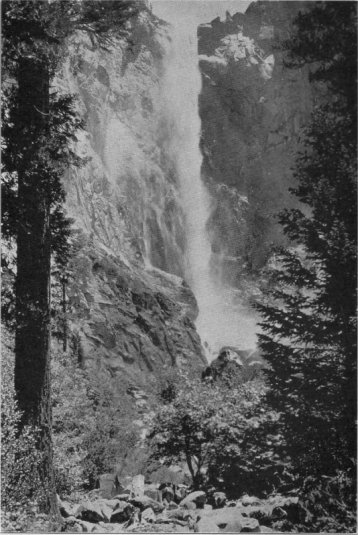 Bridalveil Fall (Courtesy of the Yosemite Park and Curry Co.). Photo by Ansel Adams