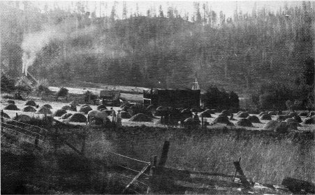 Wawona — When Haying and Logging were the Main Industries