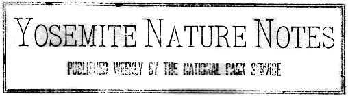 Yosemite Nature Notes rubber stamp, 1923