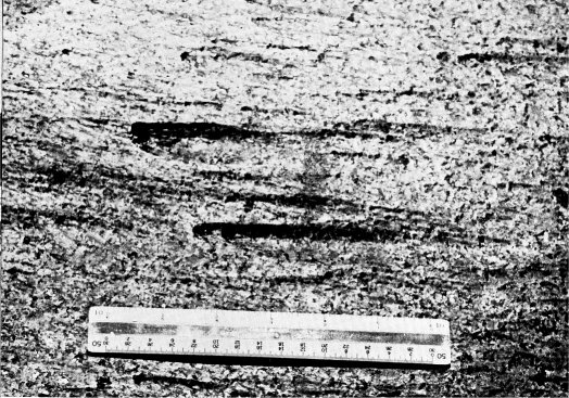 Figure 3. Subaerial flutes in Half Dome Quartz Monzonite bedrock on the Tuolumne River near Pothole Dome