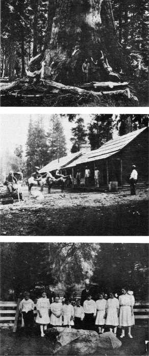 Top: Galen and The Grizzly Giant. Center: Clark (l) at Clark’s Station, 1866. Bottom: Yosemite children at Galen's Grave