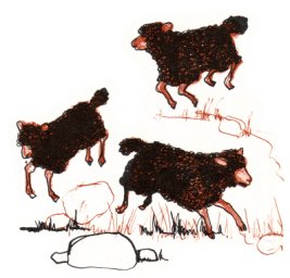 John Lembert's sheep