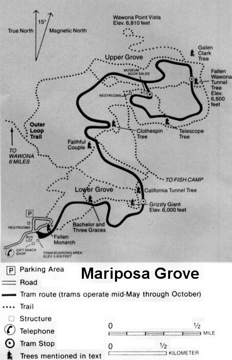 Map of Mariposa Grove of Giant Sequoias, Yosemite National Park